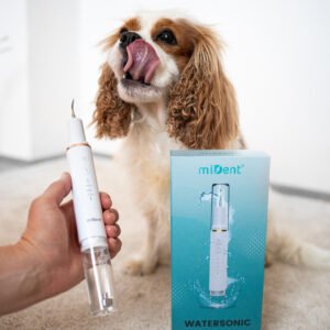 WaterSonic™ Ultrasone Tandreiniger met Waterkoeling voor Honden