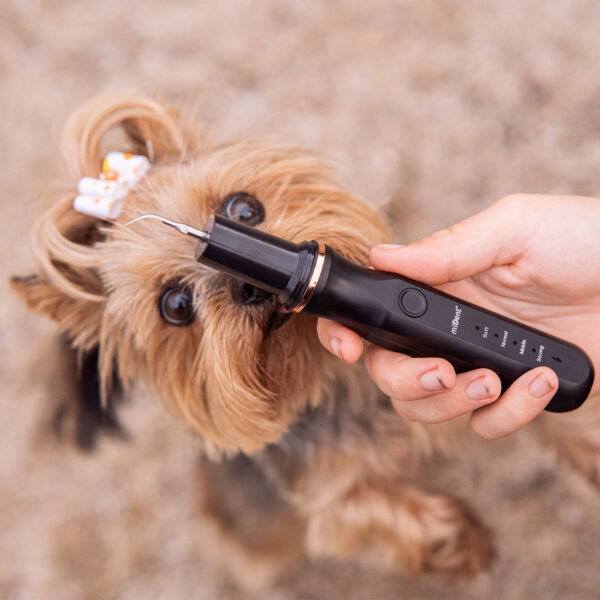 WaterSonic™ Ultrasone Tandreiniger met Waterkoeling voor Honden - Afbeelding 4